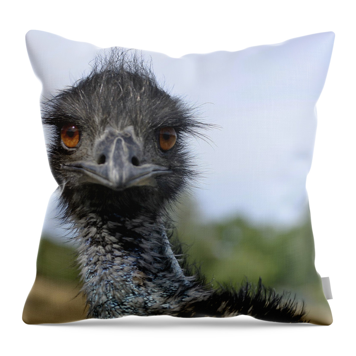 Emu Throw Pillow featuring the photograph Emu Gaze by Belinda Greb