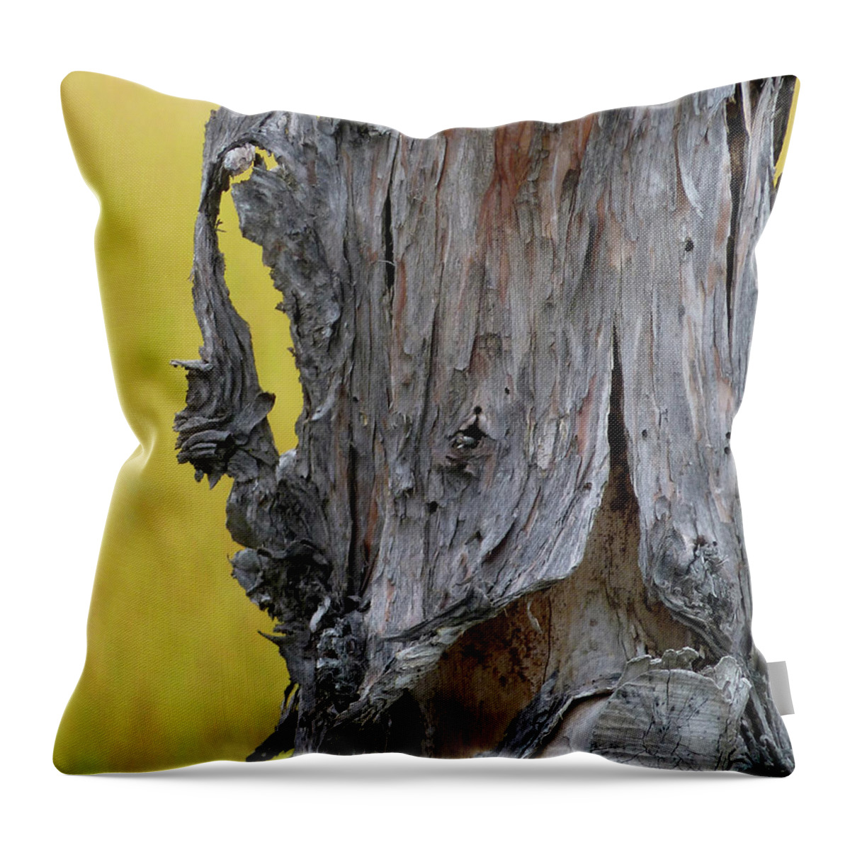 Newel Hunter Throw Pillow featuring the painting Enchanted by Newel Hunter