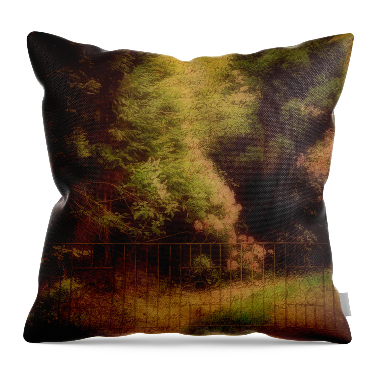 Garden Throw Pillow featuring the photograph Enchanted Path by Marilyn Wilson