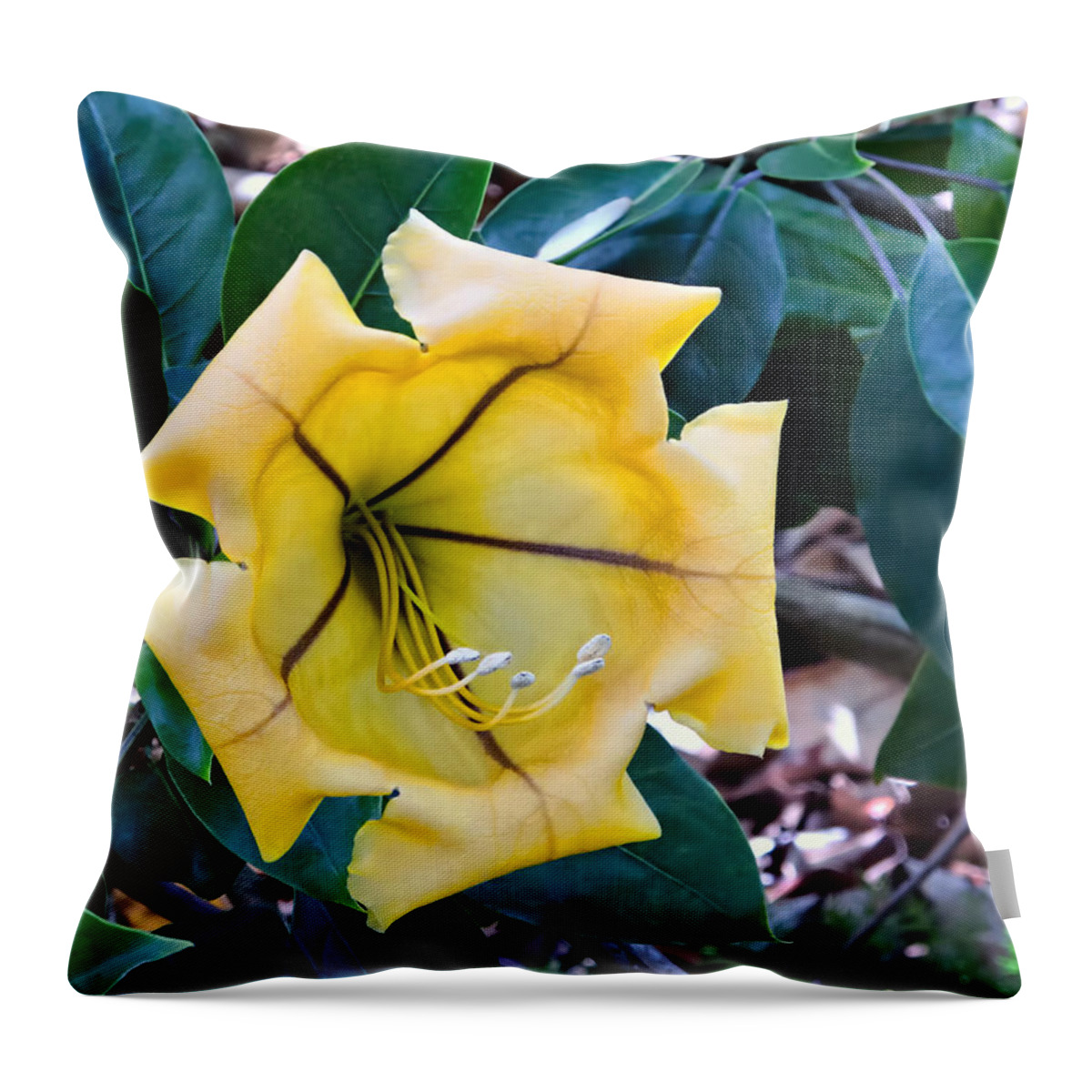 Hawaii Throw Pillow featuring the photograph Enchanting Gardens 29 by Dawn Eshelman