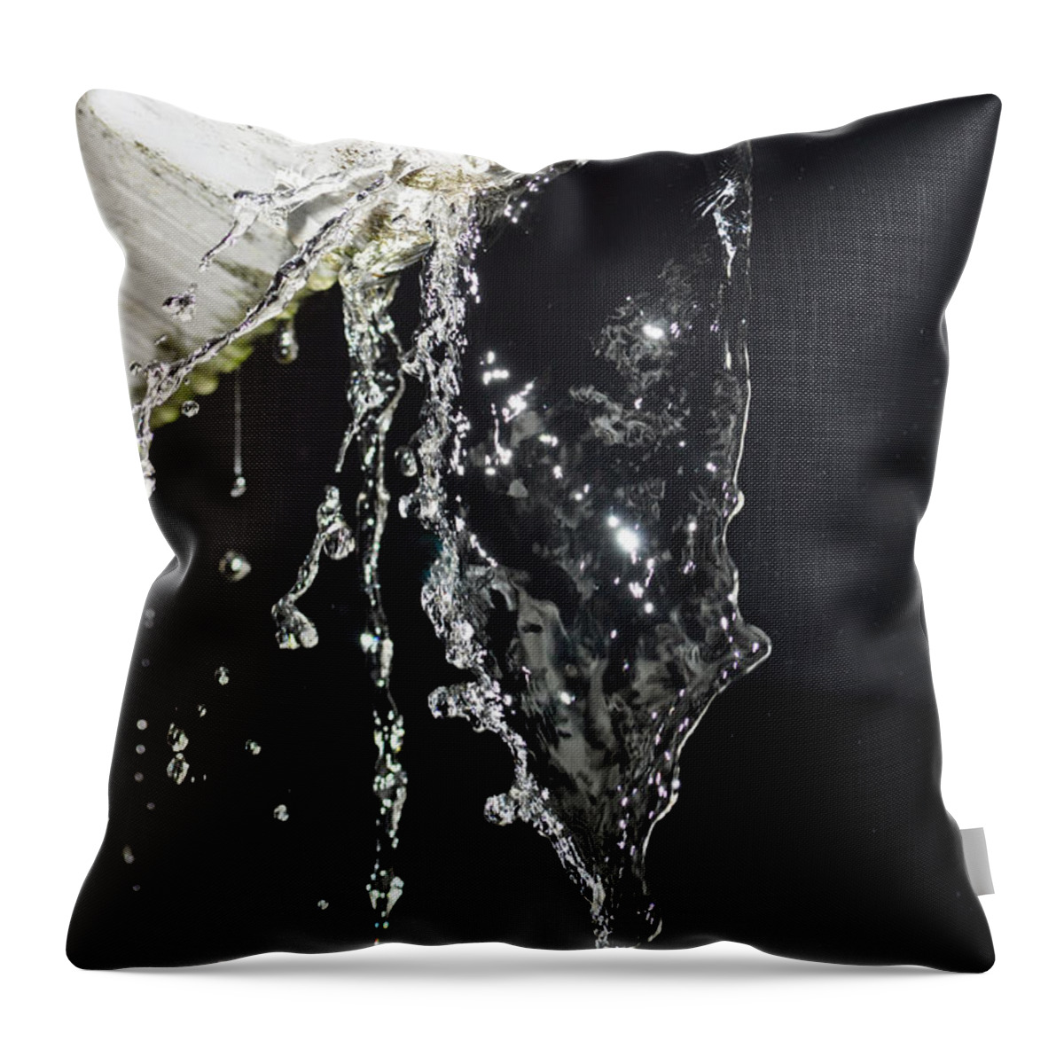 Gutter Throw Pillow featuring the photograph End of Summer by Tikvah's Hope