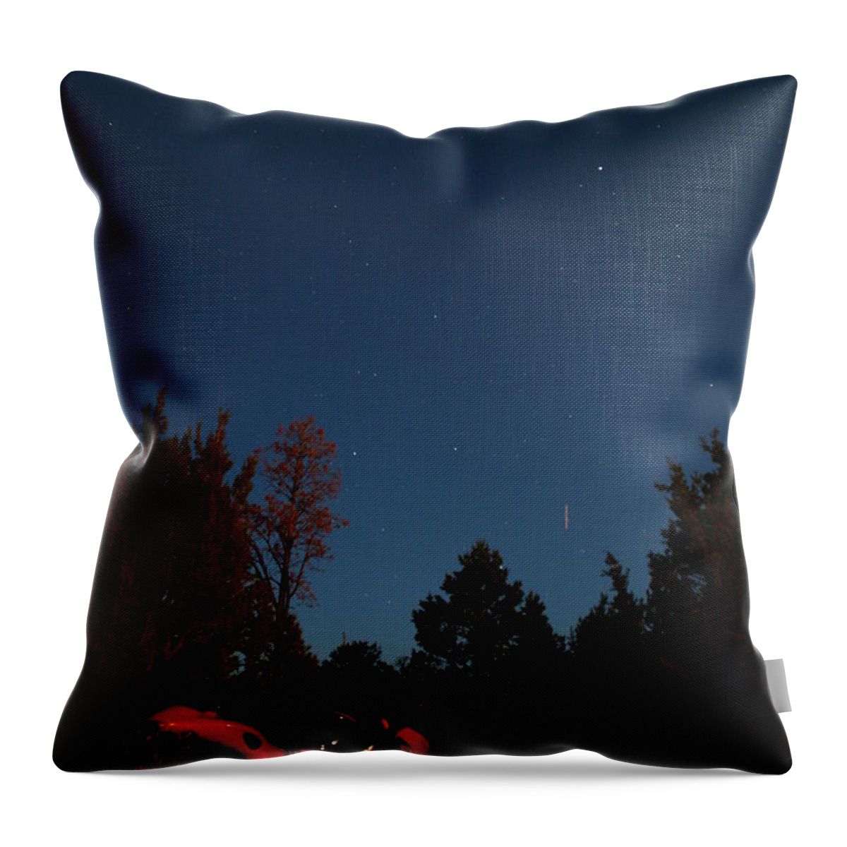 Suzuki Throw Pillow featuring the photograph End of the day by David S Reynolds