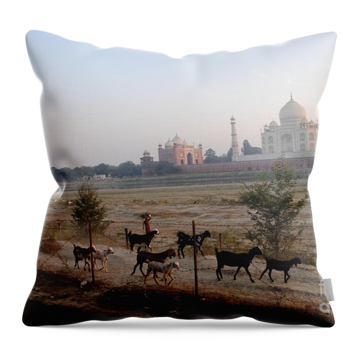 Taj Mahal Throw Pillow featuring the photograph End of the Day at Mehtab Bagh by Jacqueline M Lewis