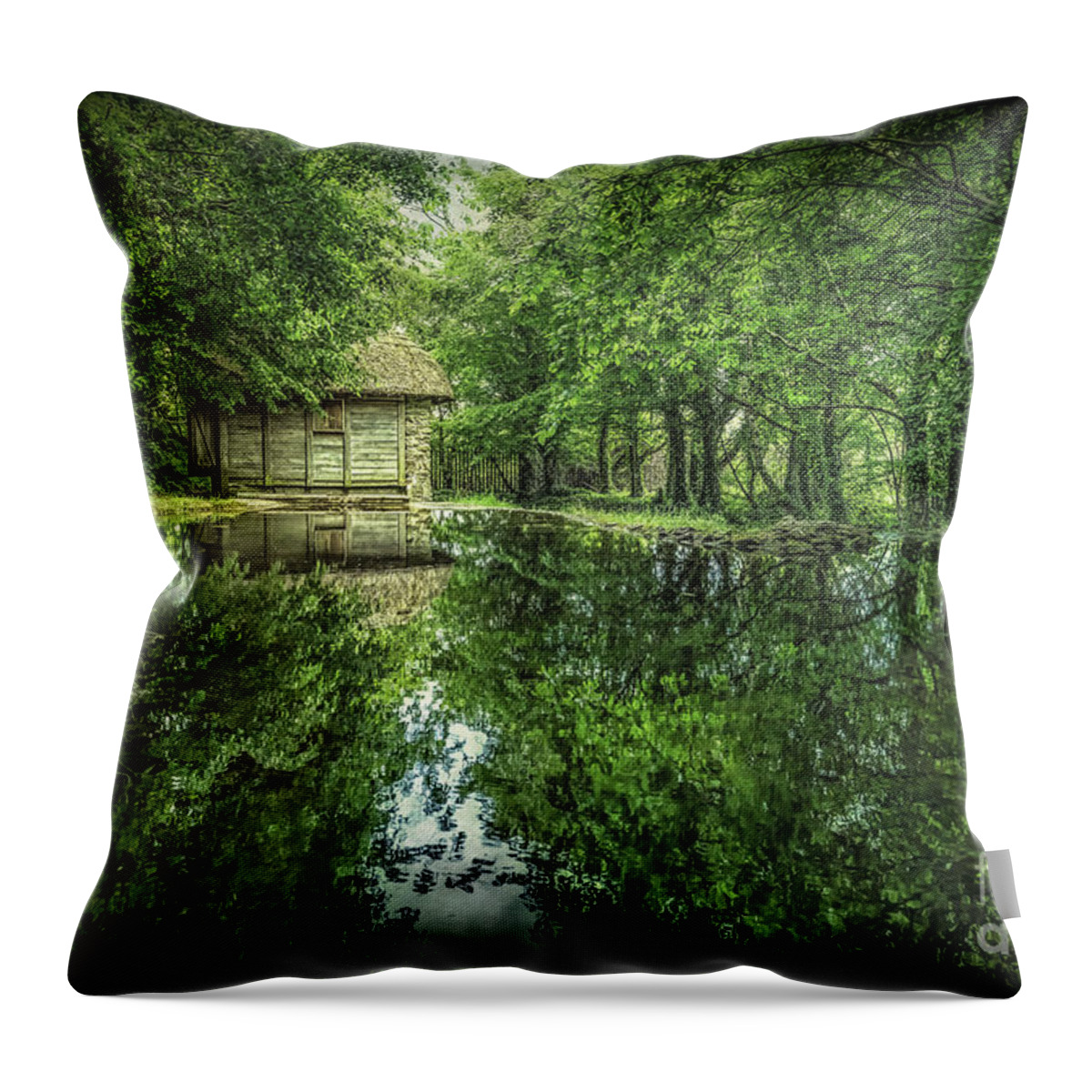 Bunratty Throw Pillow featuring the photograph Endless Shades Of Green by Evelina Kremsdorf