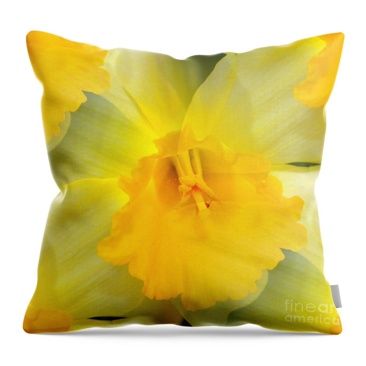Daffodil Throw Pillow featuring the photograph Endless Yellow Daffodil by Judy Palkimas