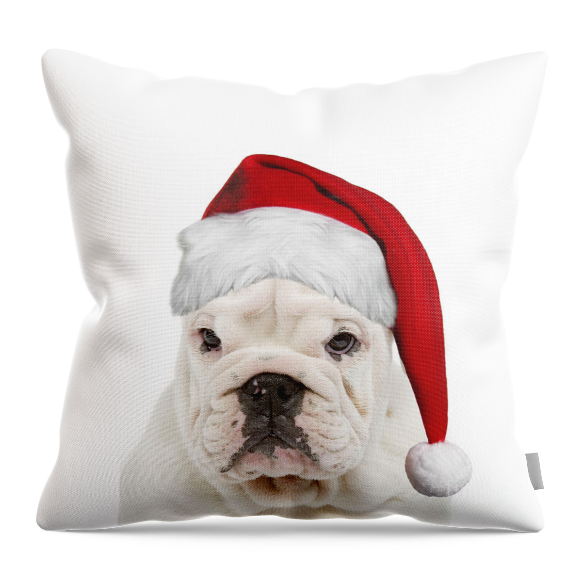 English Bulldog Throw Pillow featuring the photograph English Bulldog In Christmas Hat by Jean-Michel Labat