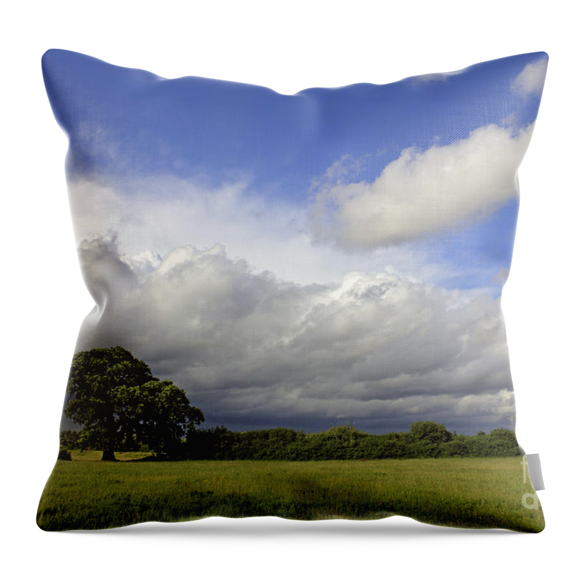 English Oak Under Stormy Skies Landscape Countryside English British England Clouds Dramatic Storm Cloud Fluffy Throw Pillow featuring the photograph English Oak under Stormy Skies by Julia Gavin