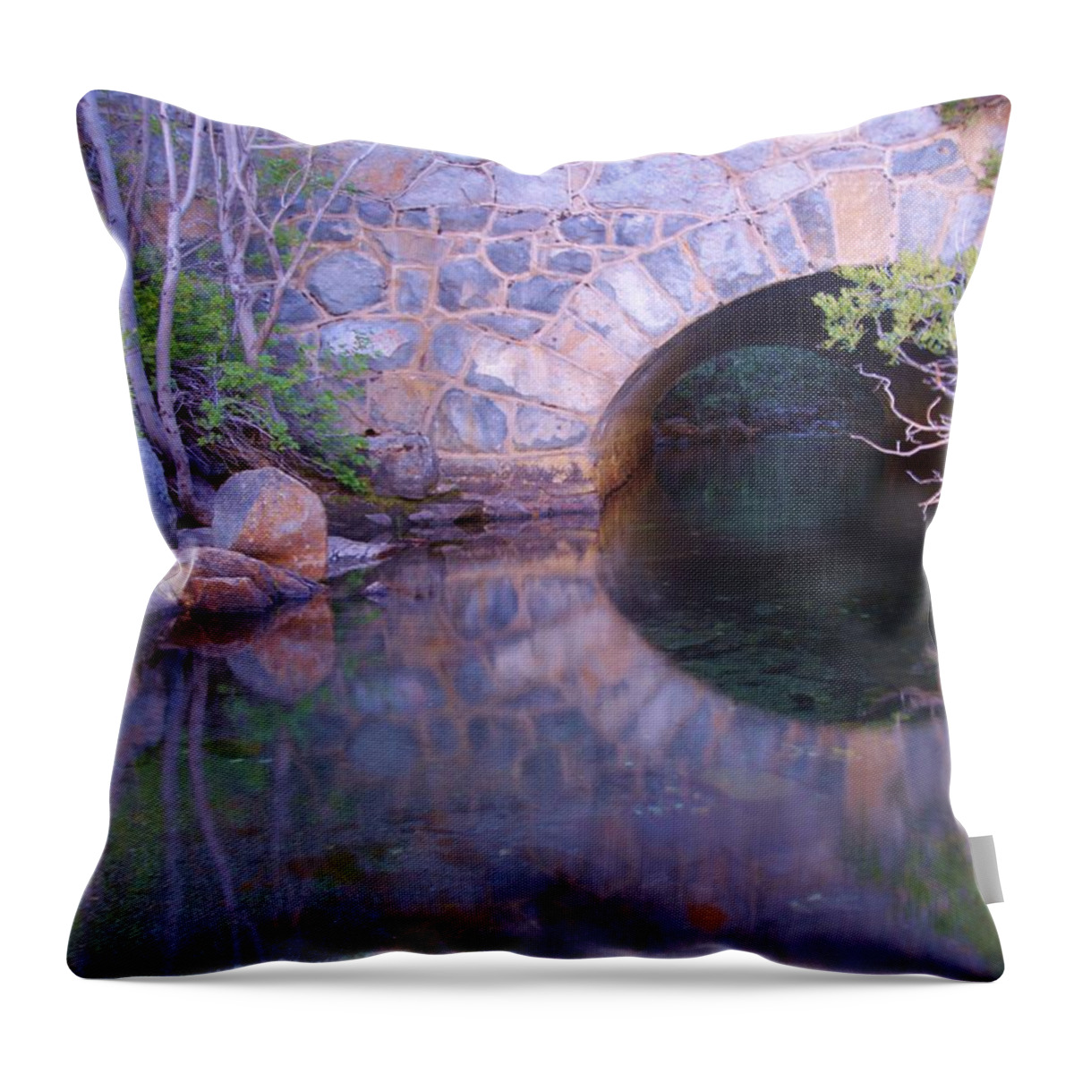 Water Throw Pillow featuring the photograph Enter The Tunnel of Love by Sean Sarsfield