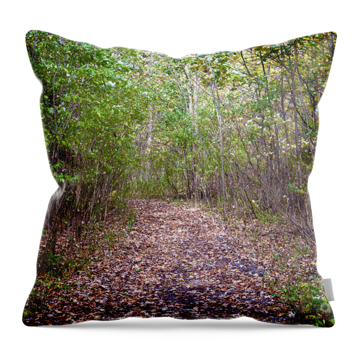 Sacred Grove Throw Pillow featuring the photograph Entrance to the Sacred Grove by William Norton