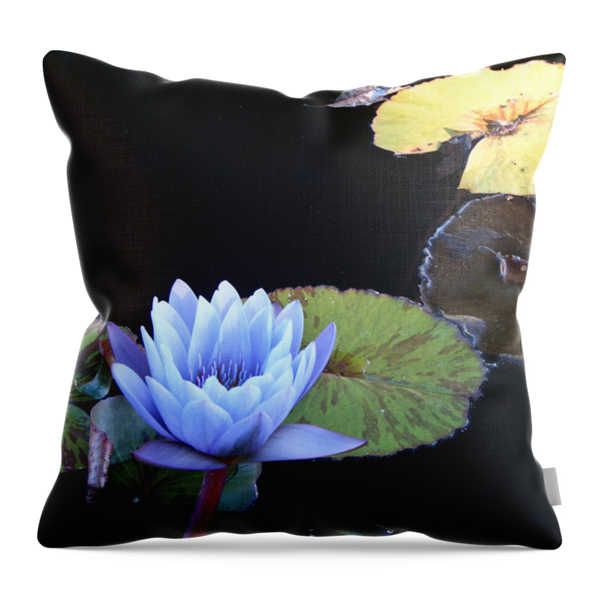 Ephemeral Throw Pillow featuring the photograph Ephemeral Ghostly Lily by Douglas Barnett