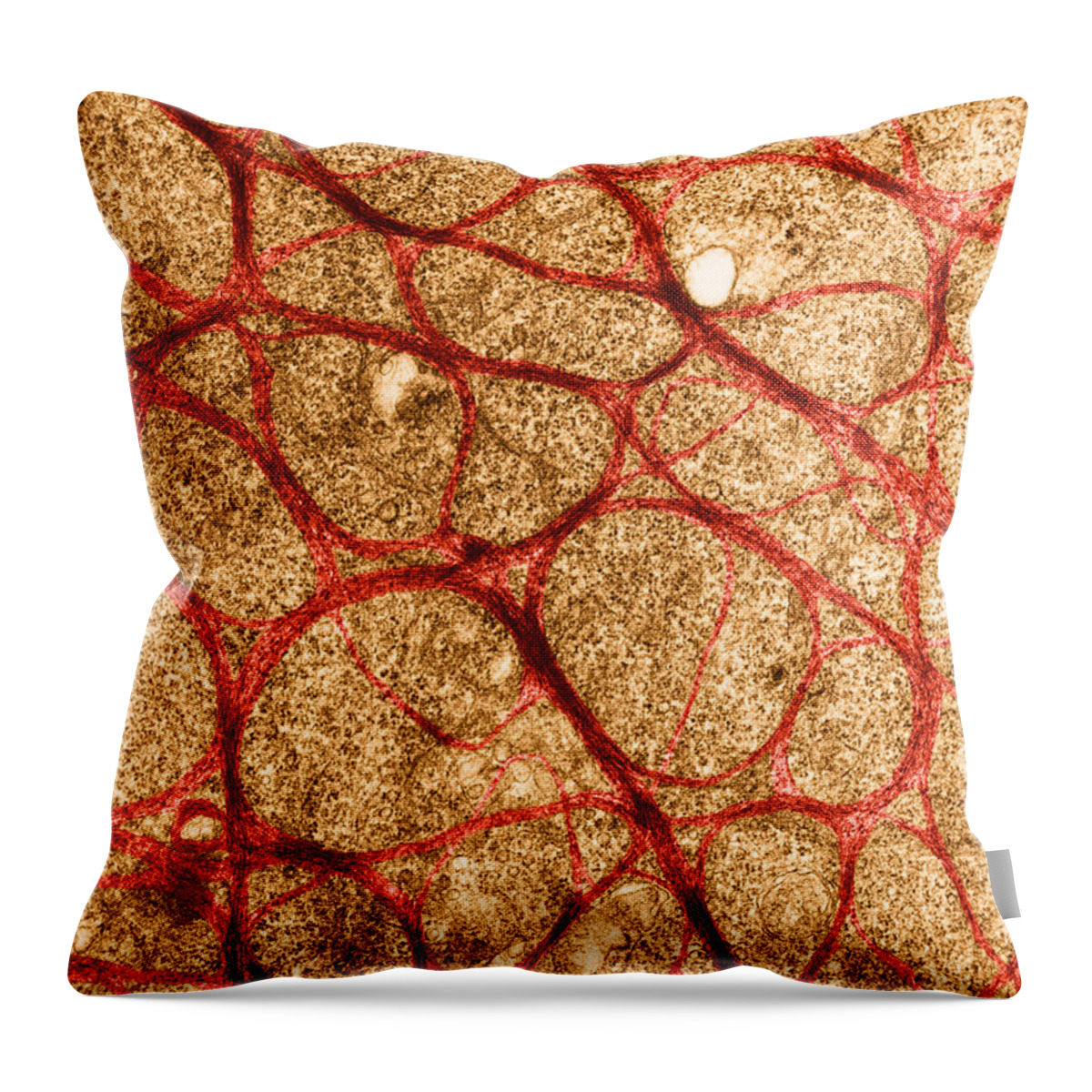 Science Throw Pillow featuring the photograph Epithelial Cell From Cervix, Tem by David M. Phillips