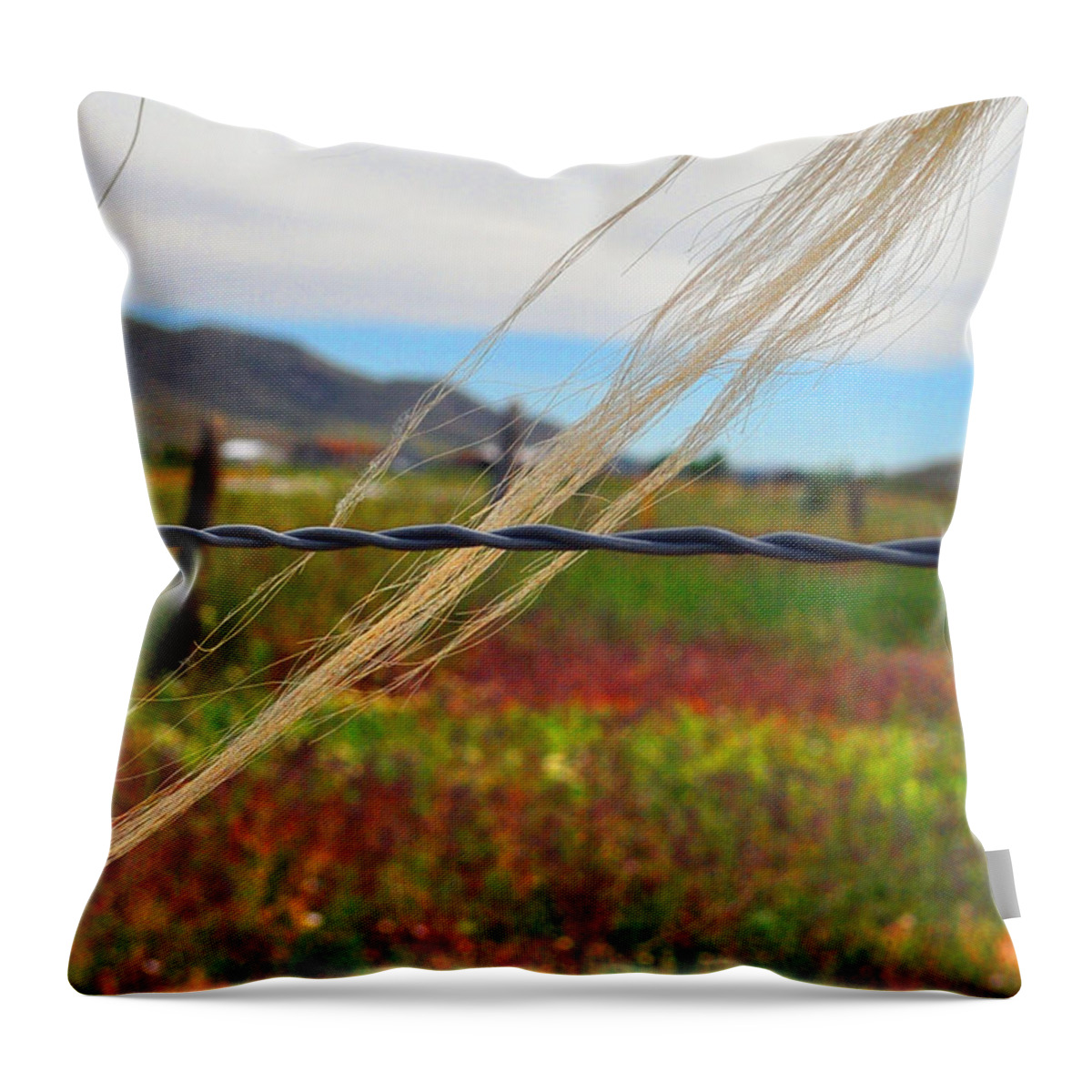 Horse Hair Throw Pillow featuring the photograph Equus Land by Lisa Holland-Gillem