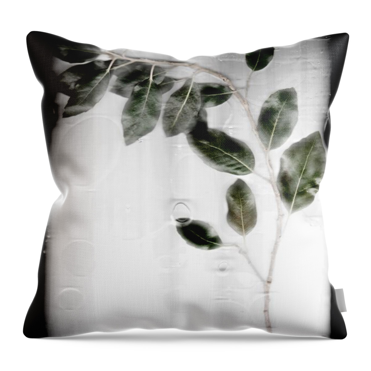 Tree Throw Pillow featuring the photograph Erase by Mark Ross