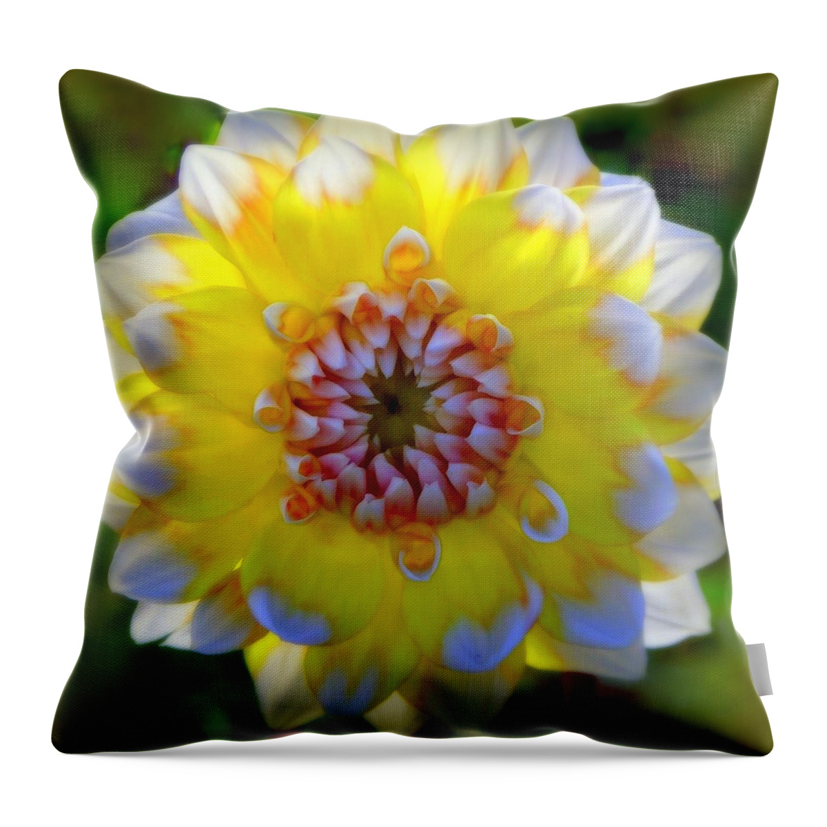 Dahlias Throw Pillow featuring the photograph ESSENCE of SPRING by Karen Wiles
