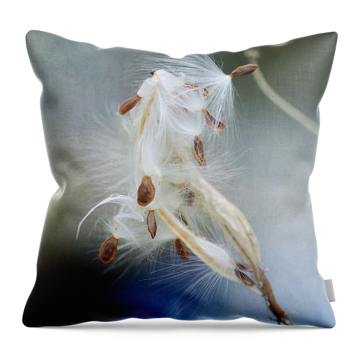 Milkweed Pod Throw Pillow featuring the photograph Ethereal Pod 4 by Fraida Gutovich