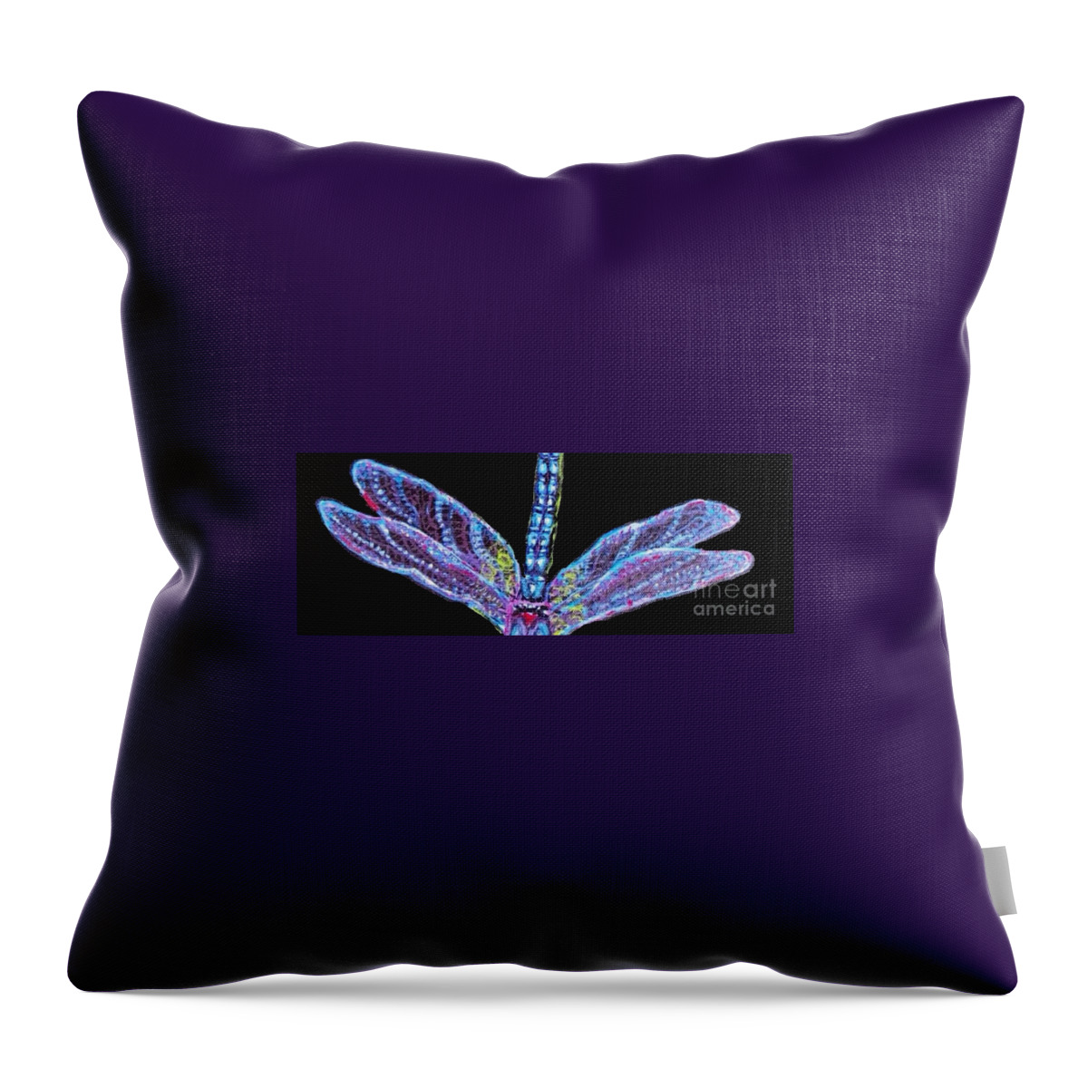 Nature Paintings Blue Dragonfly Paintings With Black Background Blue Ethereal Looking Wings Of A Dragonfly Illuminated Acrylic Paintings Throw Pillow featuring the painting Ethereal Wings of Blue by Kimberlee Baxter