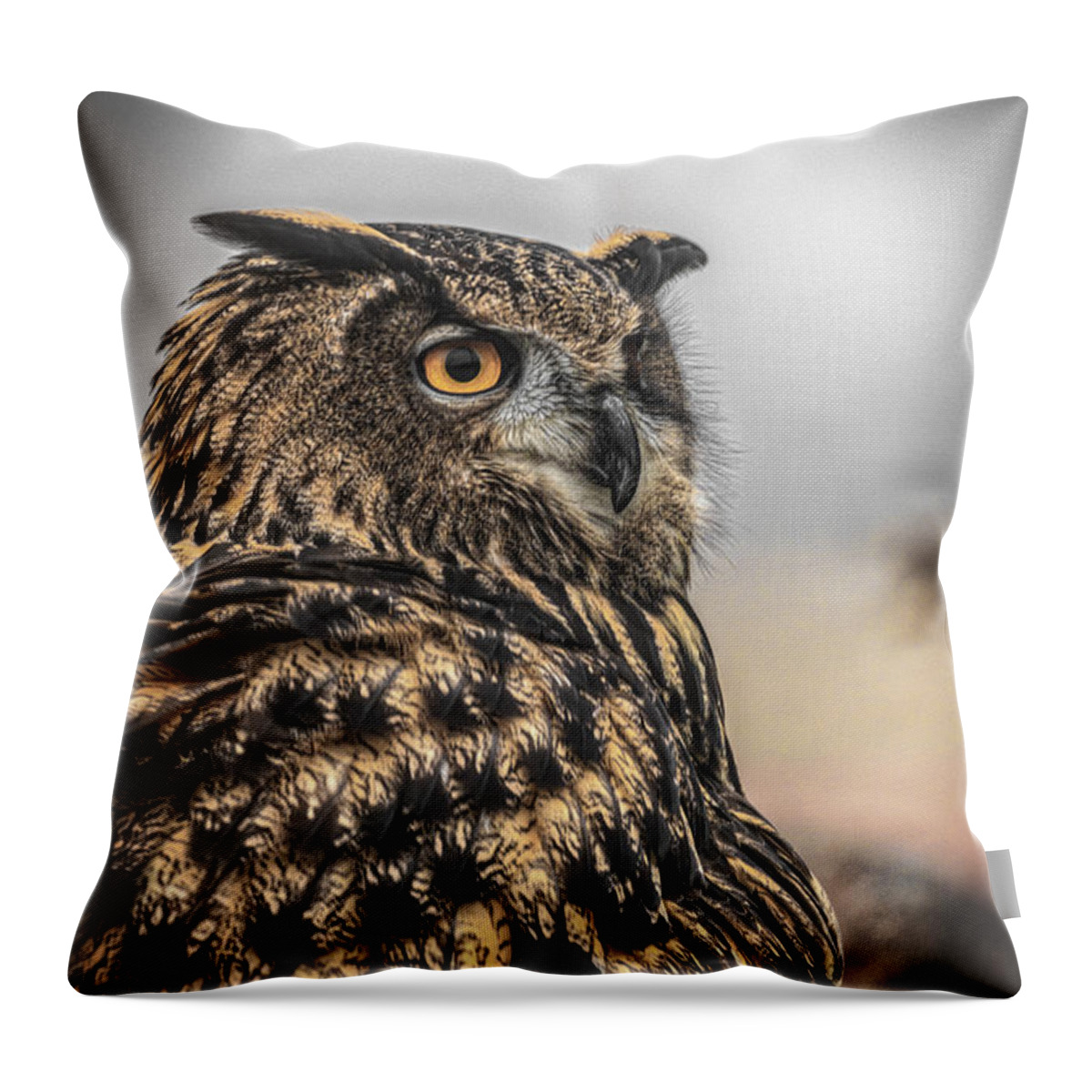 Eurasian Eagle Owl Throw Pillow featuring the photograph Eurasian Eagle Owl by Mitch Shindelbower