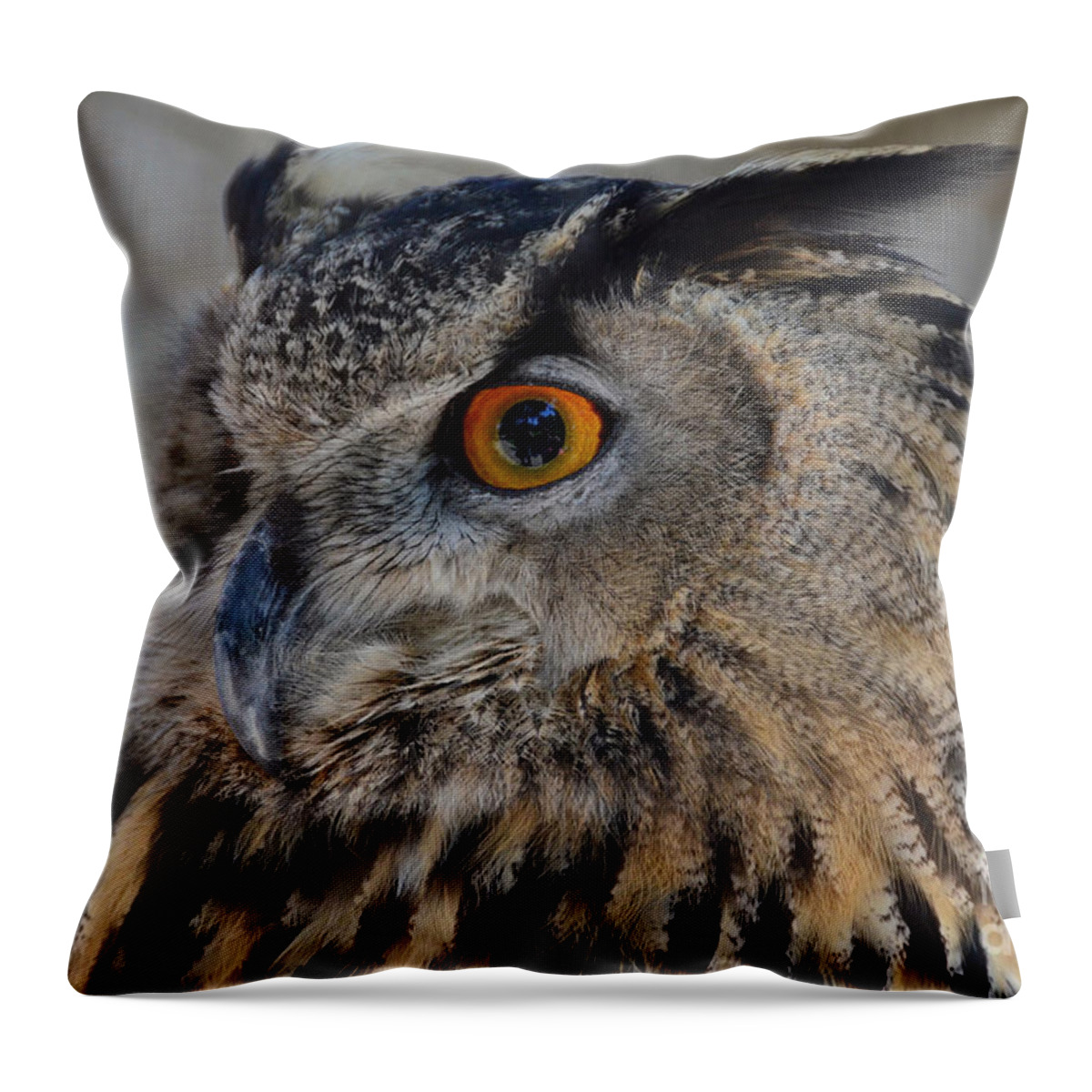 Owl Throw Pillow featuring the photograph Eurasian Owl by Debby Pueschel