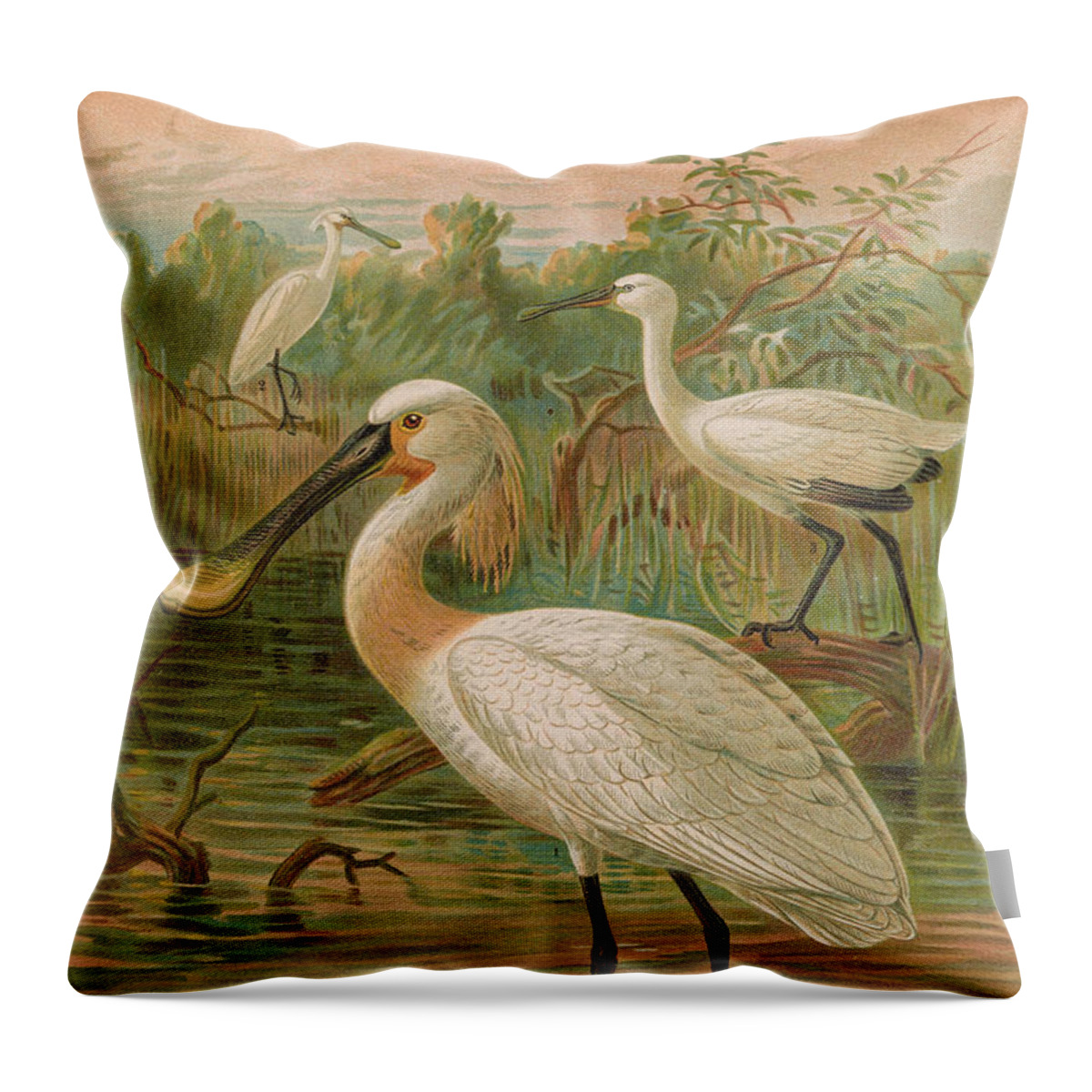 Eurasian Spoonbill Throw Pillow featuring the painting Eurasian Spoonbill by Dreyer Wildlife Print Collections 