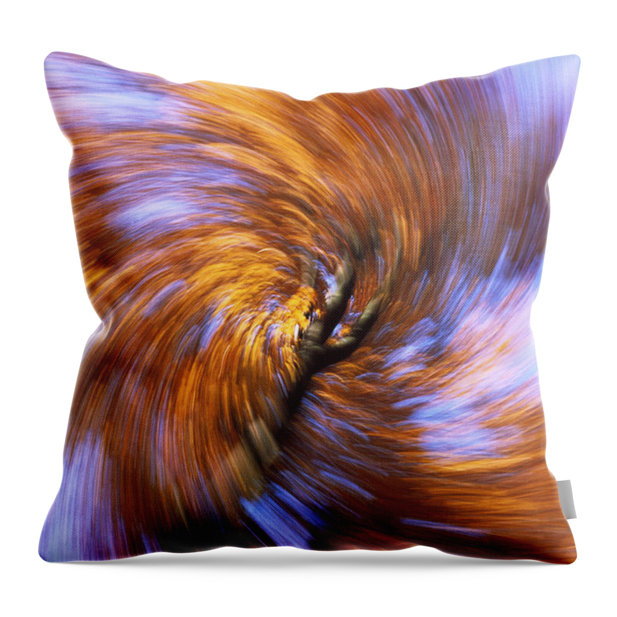 00198039 Throw Pillow featuring the photograph European Beach Leaves Abstract by Konrad Wothe