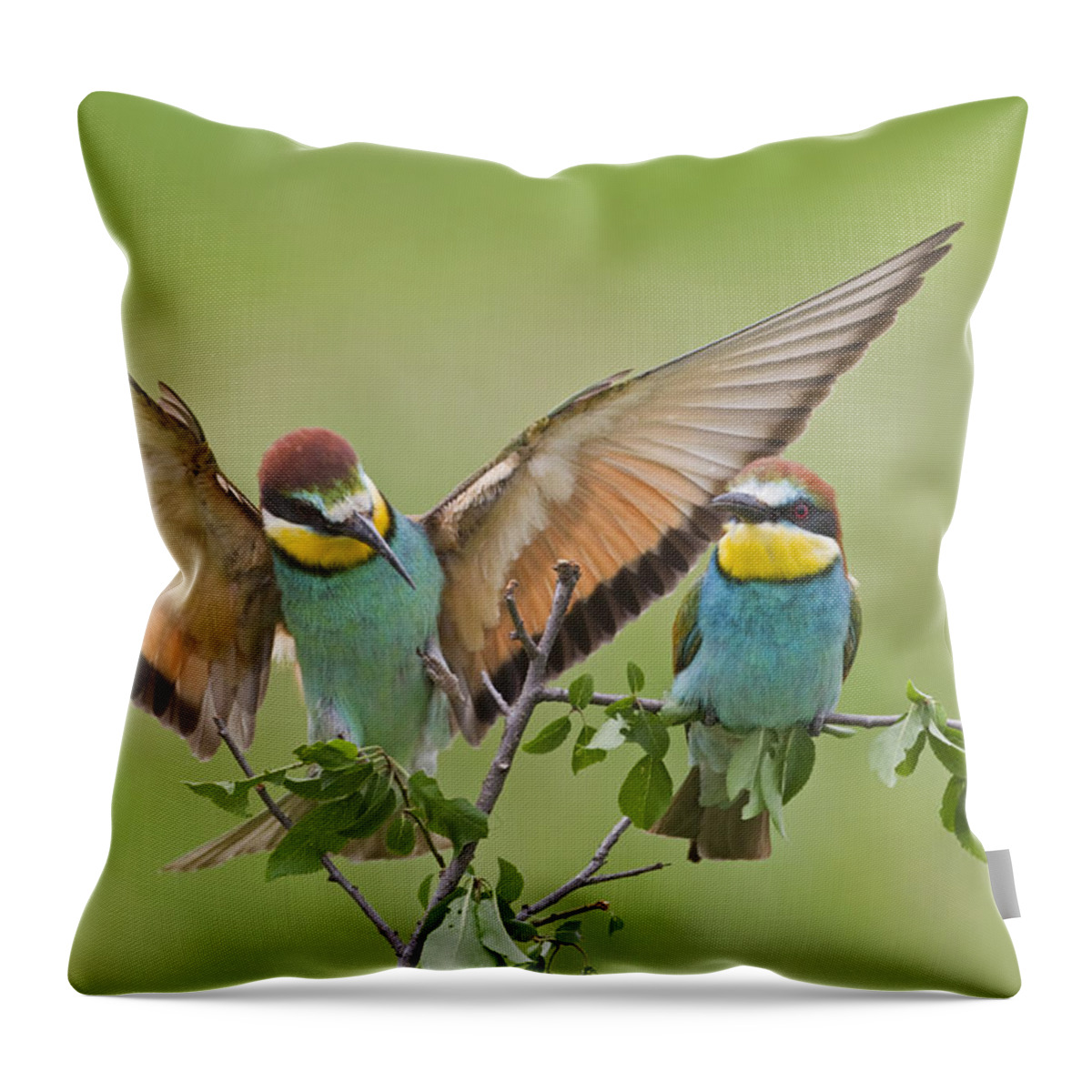 Flpa Throw Pillow featuring the photograph European Bee-eaters Bulgaria by Dickie Duckett
