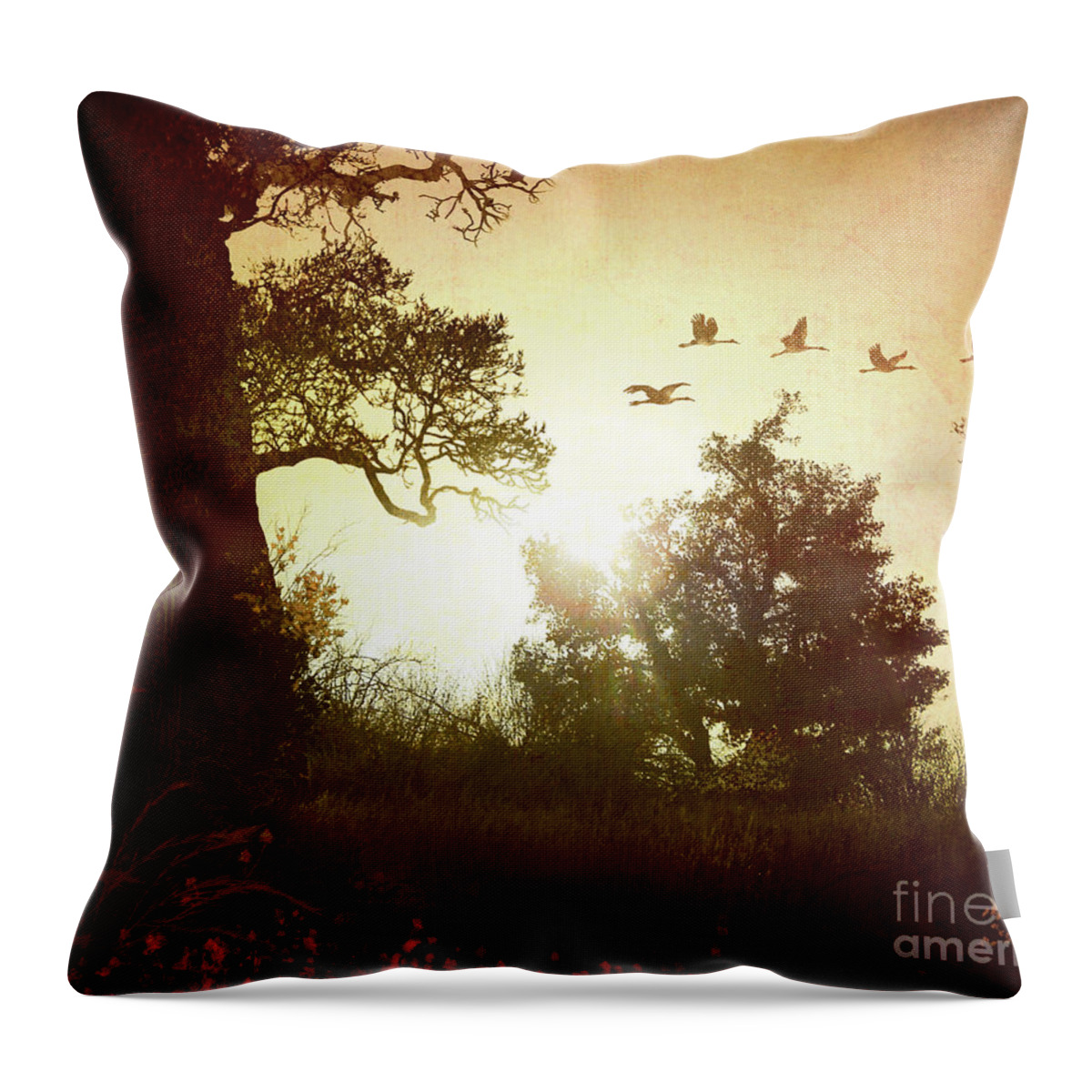 Digital Throw Pillow featuring the photograph Evening Flying Geese by Peter Awax