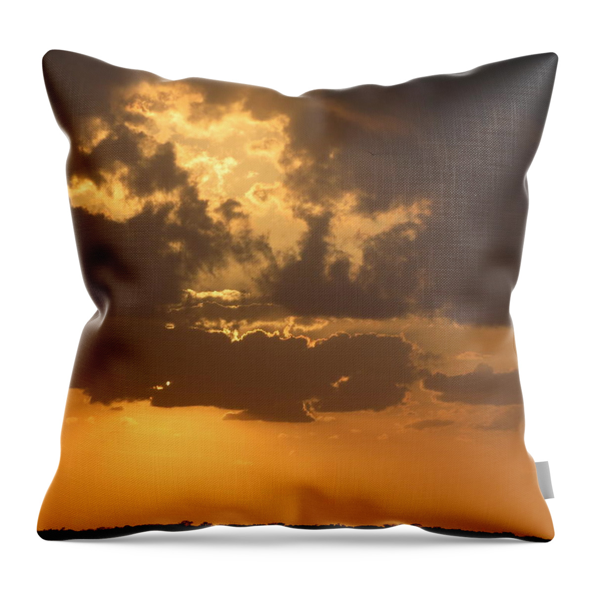 Nature Throw Pillow featuring the photograph Evening Over Lake George by Fortunate Findings Shirley Dickerson