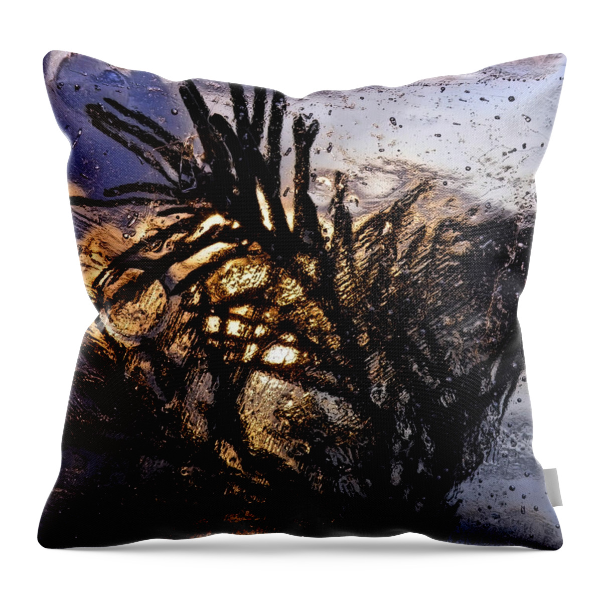 Ice Throw Pillow featuring the photograph Evening Plant by Sami Tiainen