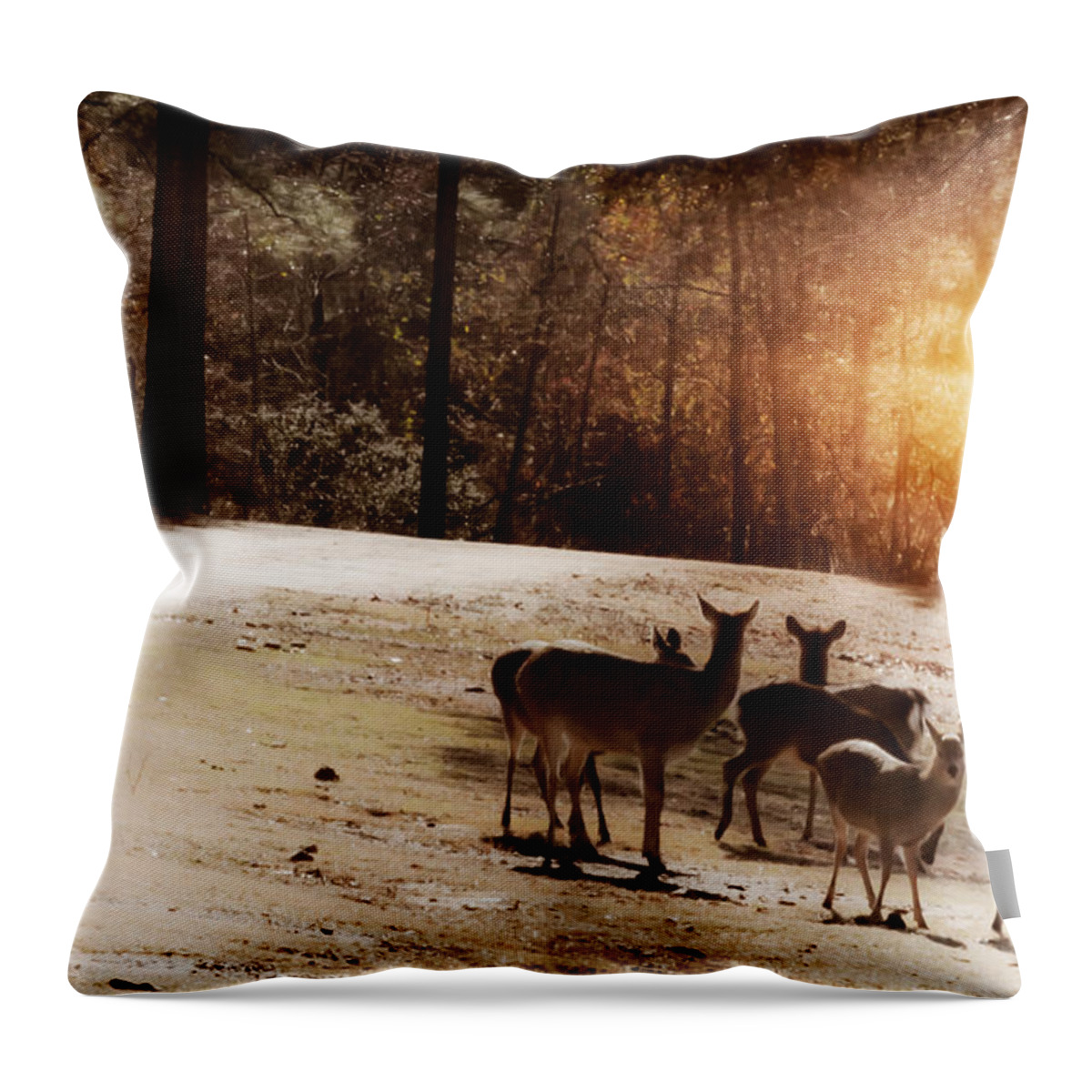 Deer Throw Pillow featuring the photograph Evening Social by Kim Henderson