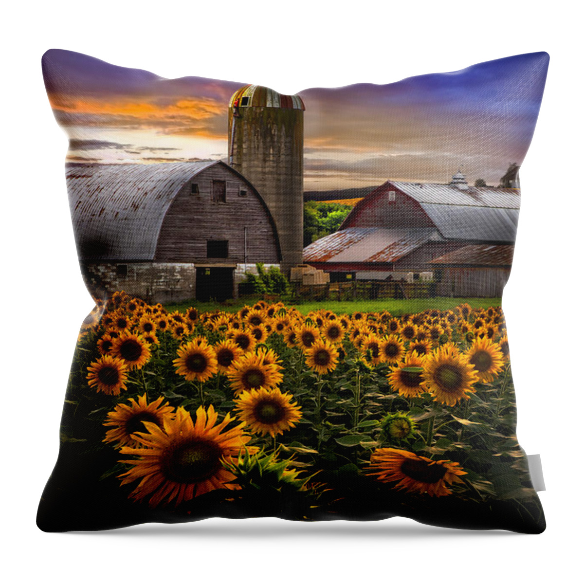 Barn Throw Pillow featuring the photograph Evening Sunflowers by Debra and Dave Vanderlaan