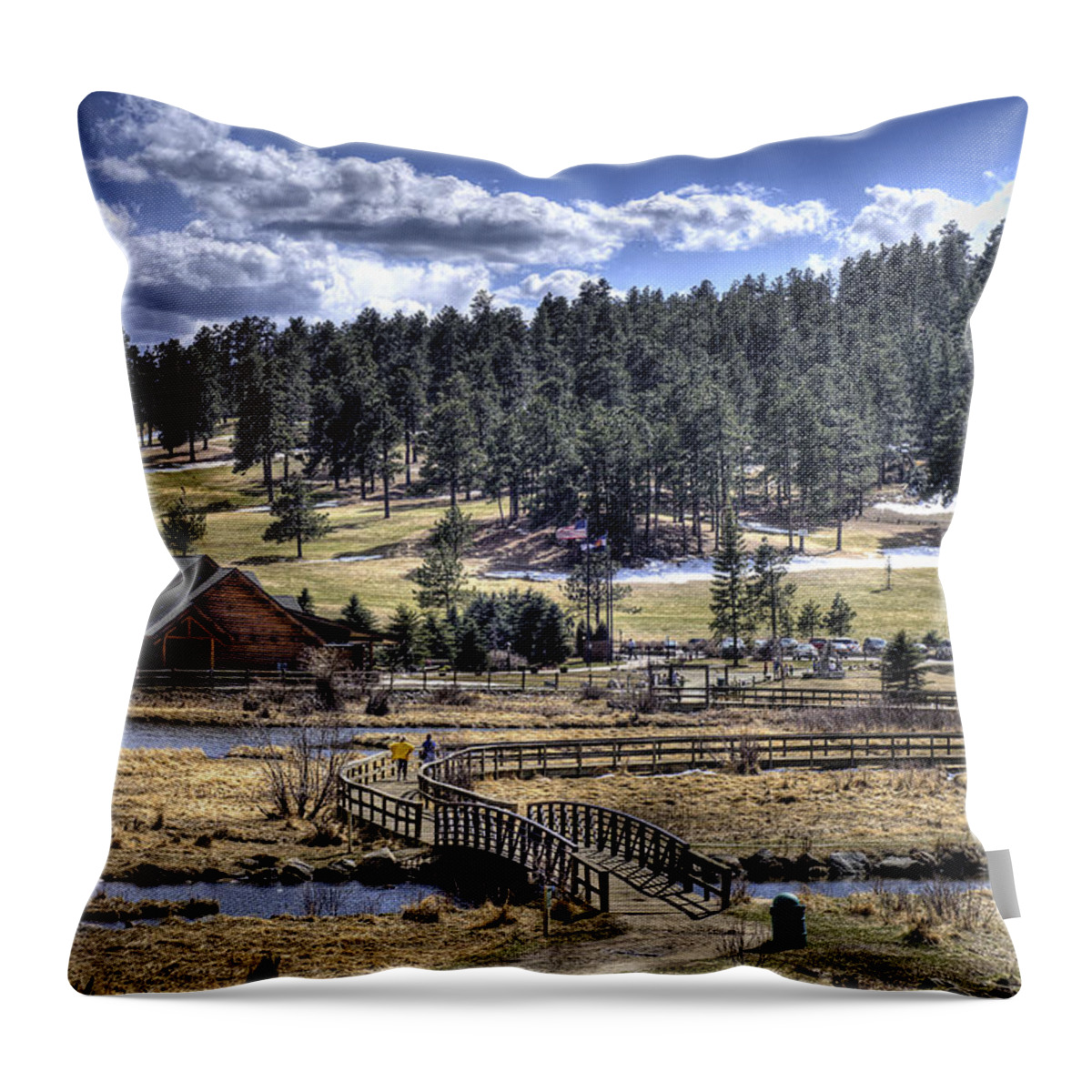 Evergreen Colorado Throw Pillow featuring the photograph Evergreen Colorado Lakehouse by Ron White