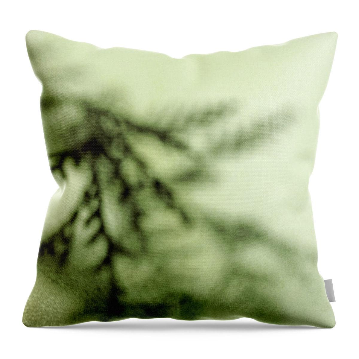 Tree Throw Pillow featuring the photograph Evergreen by Margie Hurwich