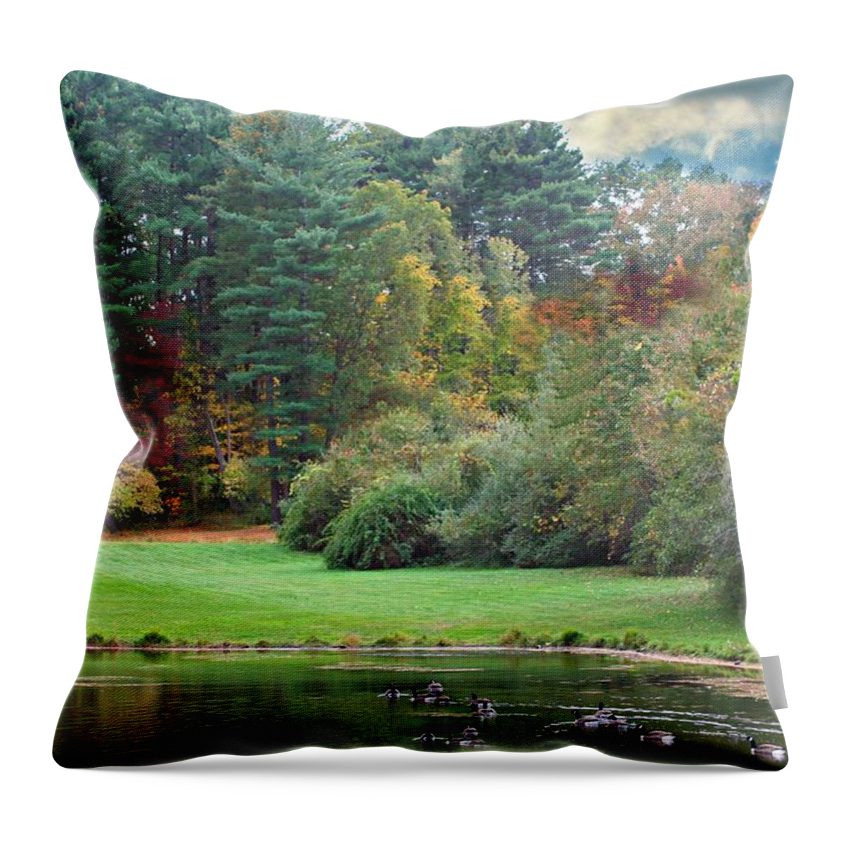 Landscape Throw Pillow featuring the photograph Everything Autumn In New Hampshire by Barbara S Nickerson