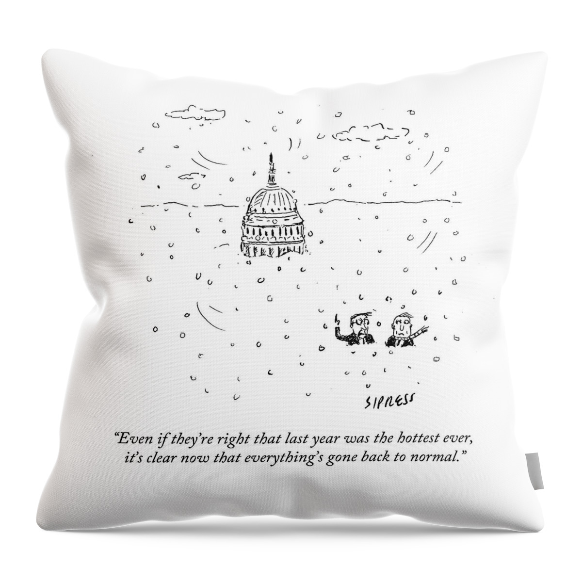 Everything's Gone Back To Normal Throw Pillow