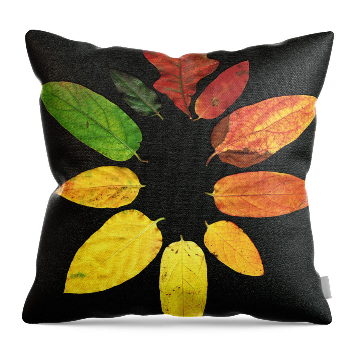 Oak Throw Pillow featuring the digital art Evolution of Autumn Bk by Pete Trenholm