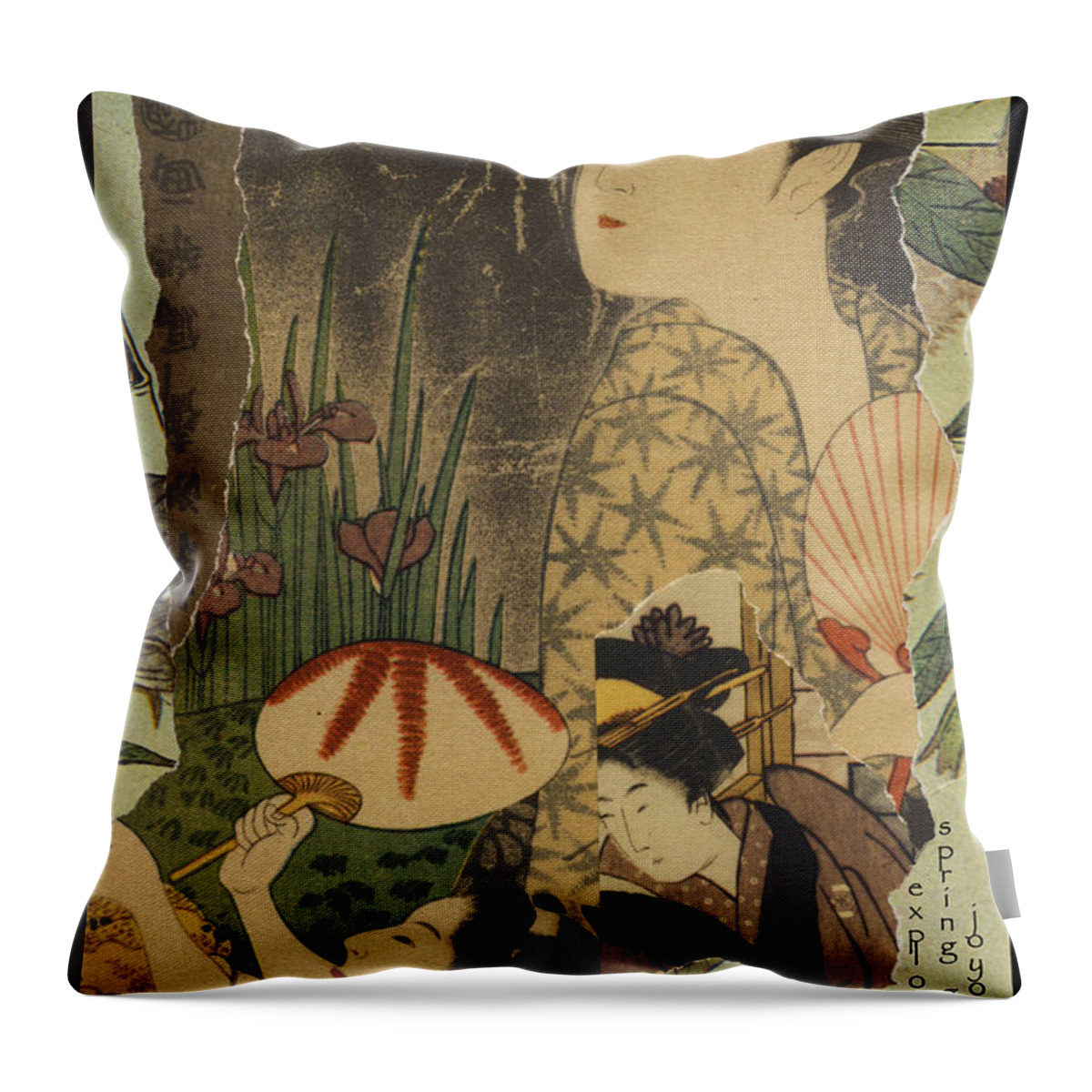 Collage Throw Pillow featuring the digital art Exploring by John Vincent Palozzi