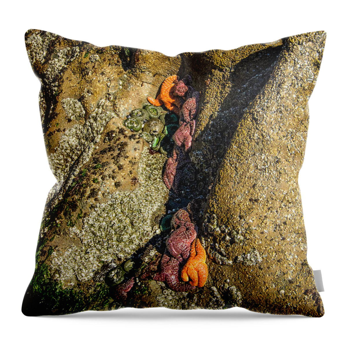 Hidden Throw Pillow featuring the photograph Starfish Exposure by Roxy Hurtubise
