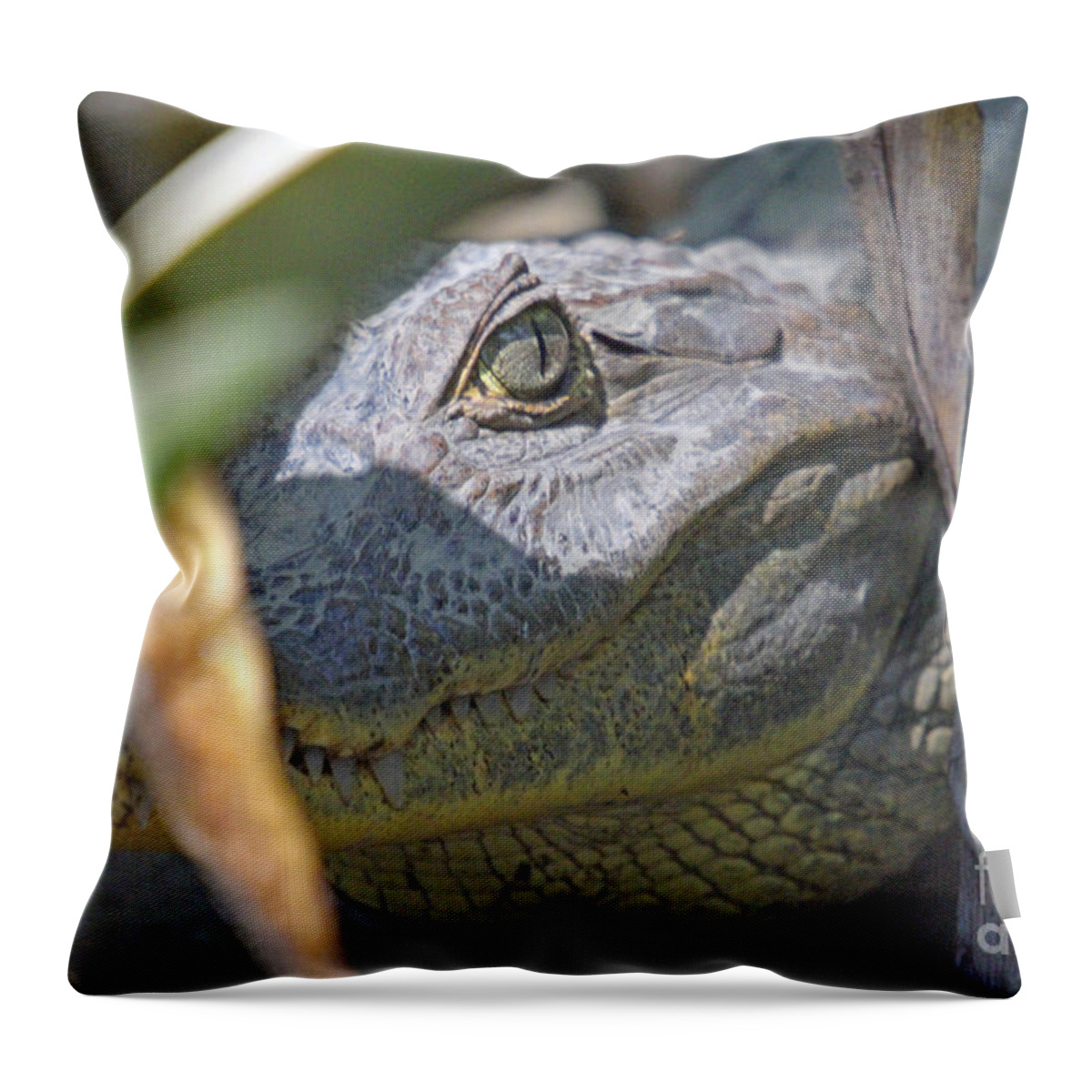 Costa Rica Throw Pillow featuring the photograph Eye of the Caiman by Bob Hislop