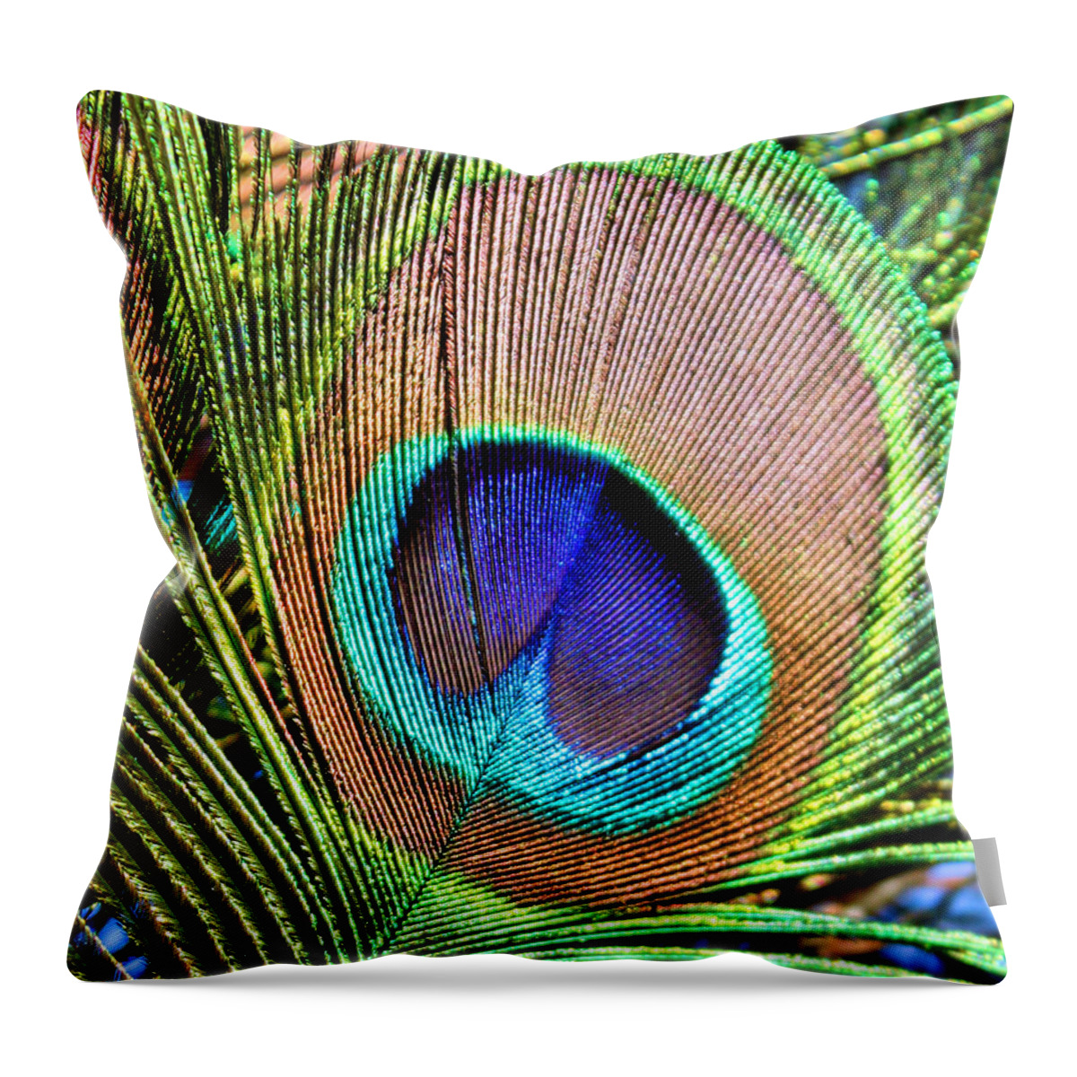 Macro Throw Pillow featuring the photograph Eye of the Feather by Kristin Elmquist