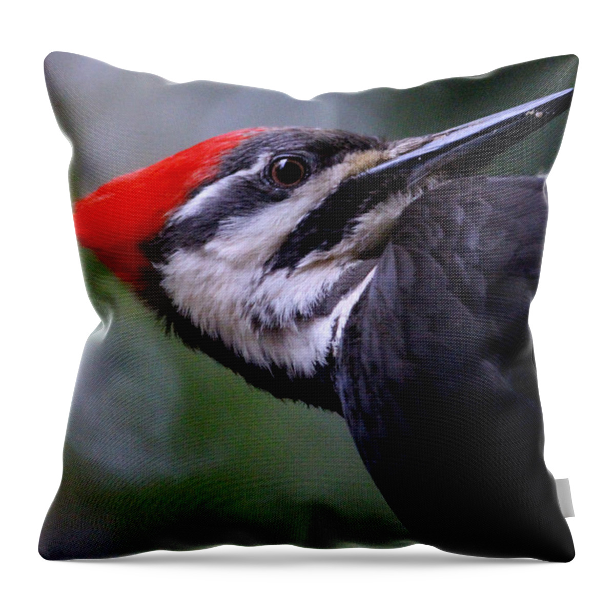 Animals Throw Pillow featuring the photograph Eye to Eye with Big Woody by Kym Backland