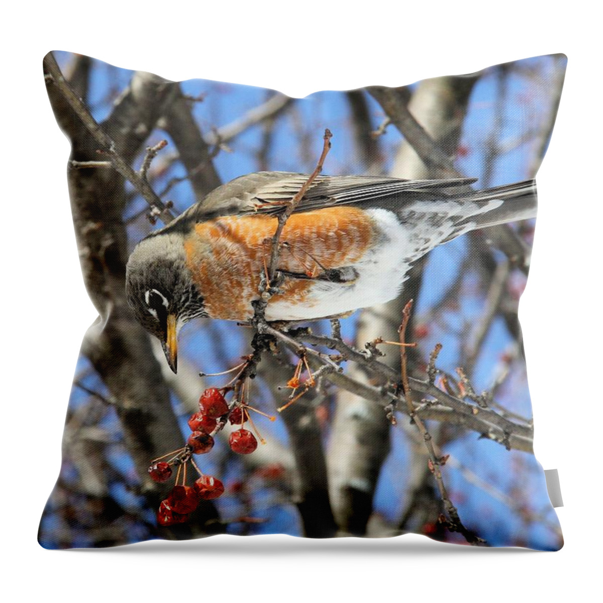 Robin Throw Pillow featuring the photograph Eyeing the prize by Doris Potter