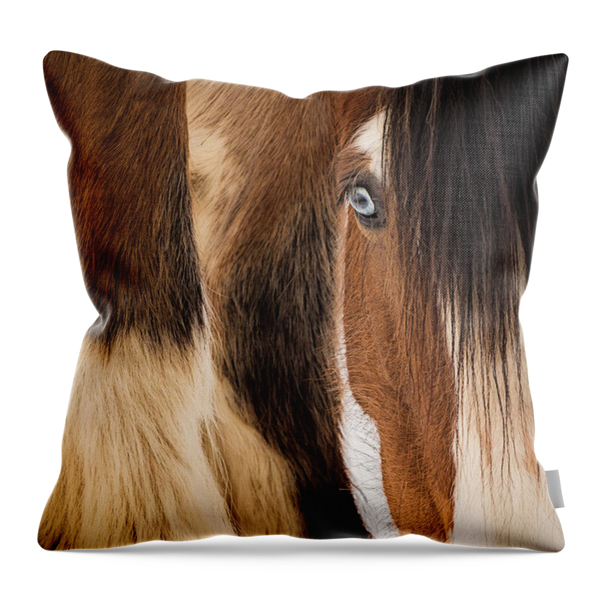 Horse Throw Pillow featuring the photograph Eyes of Blue by Everet Regal
