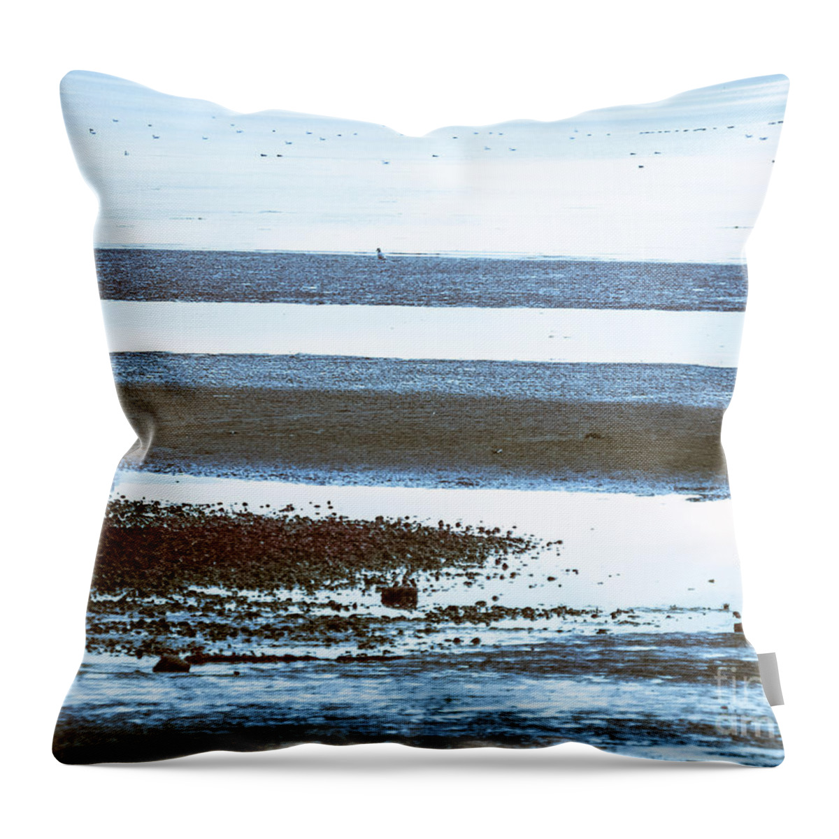Water Throw Pillow featuring the photograph F2131021 by David Fabian