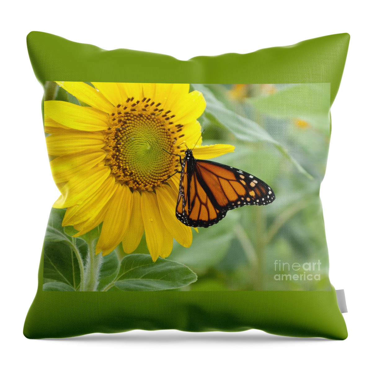 Sunflower Throw Pillow featuring the photograph Face to Face by Ann Horn
