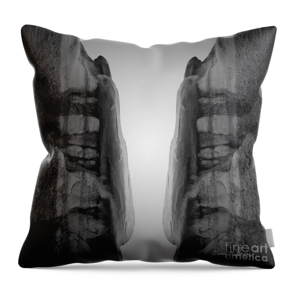 Black Throw Pillow featuring the photograph Face To Face Montage I by David Gordon