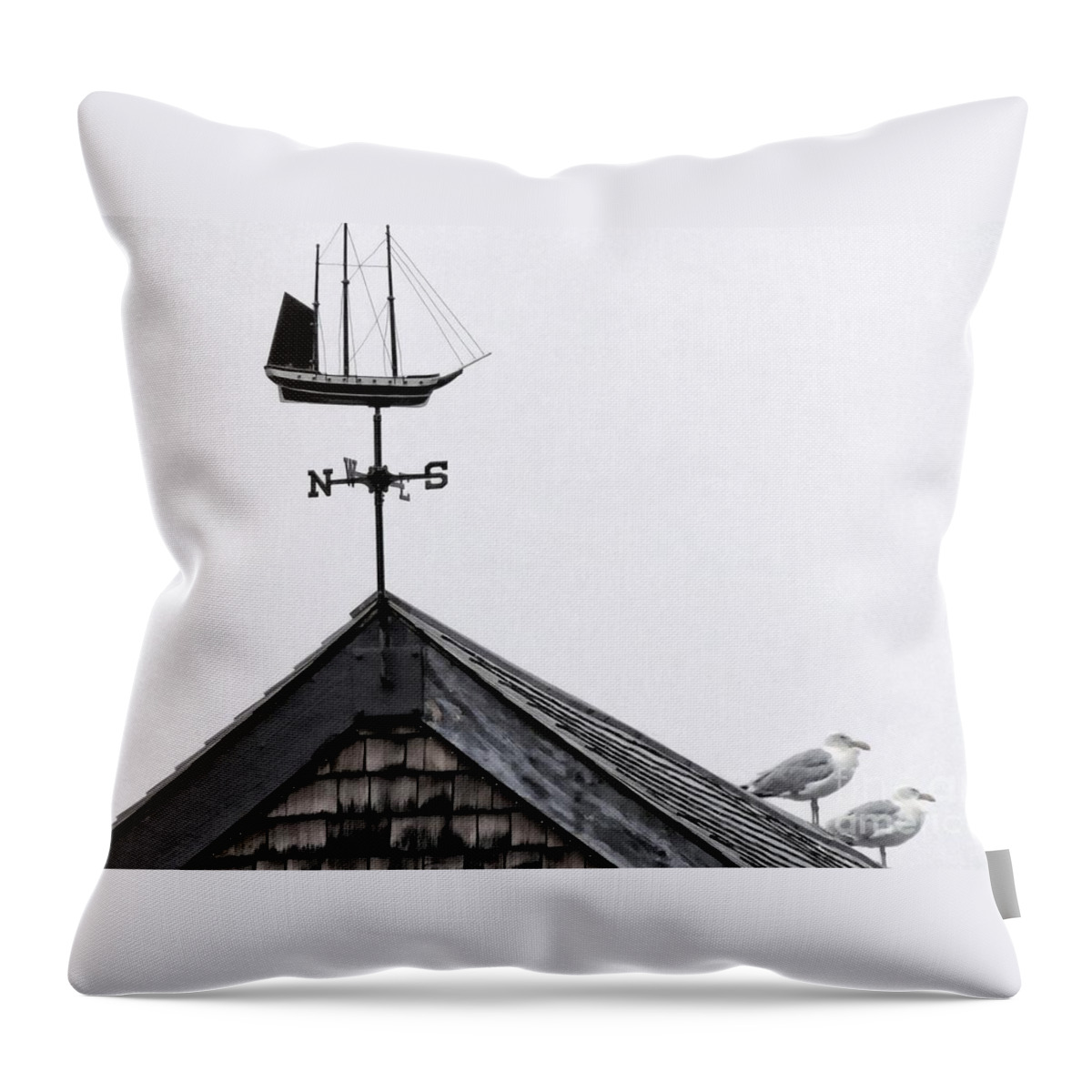 Landmark Throw Pillow featuring the photograph Facing South by Marcia Lee Jones