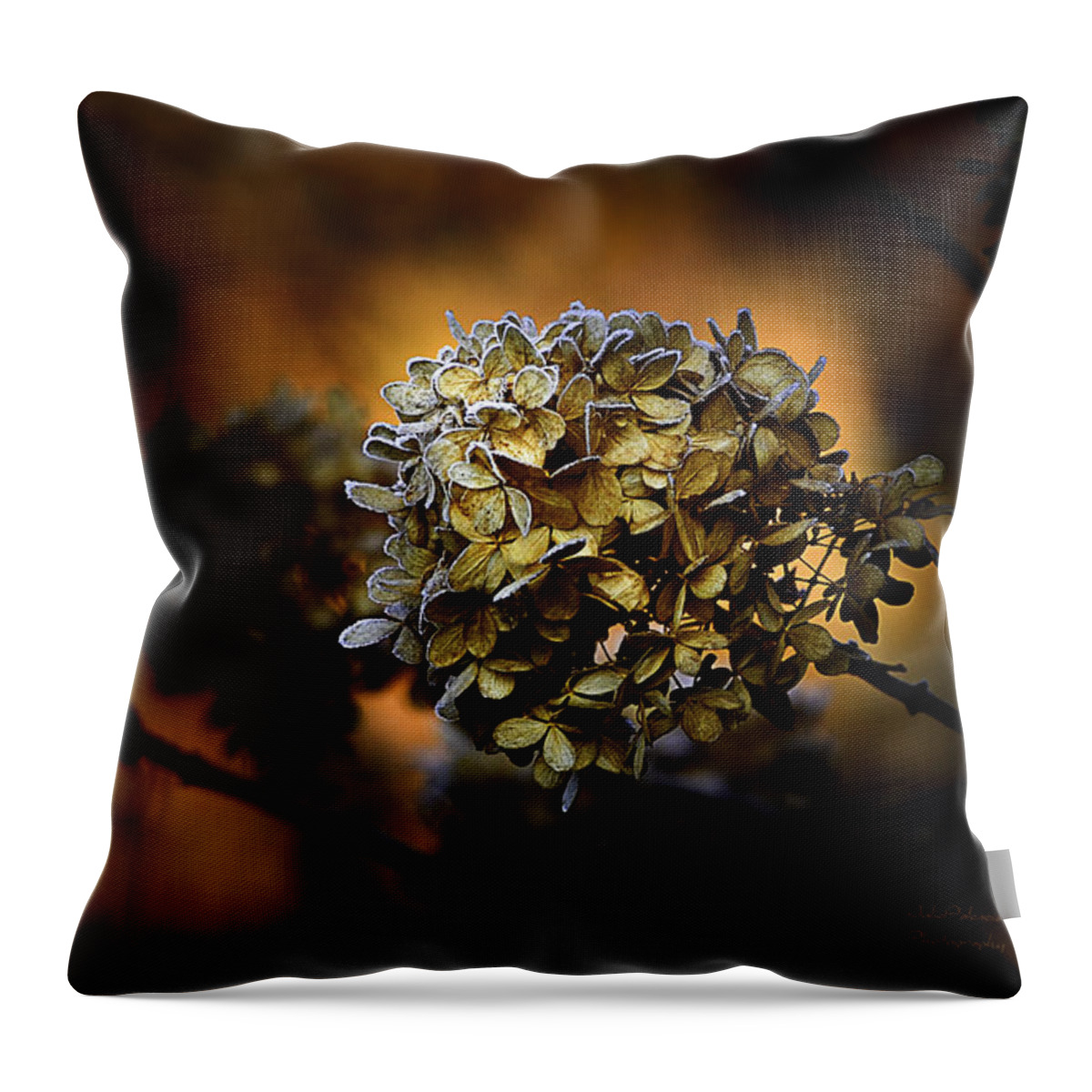 Autumn Throw Pillow featuring the photograph Fading Away by Julie Palencia
