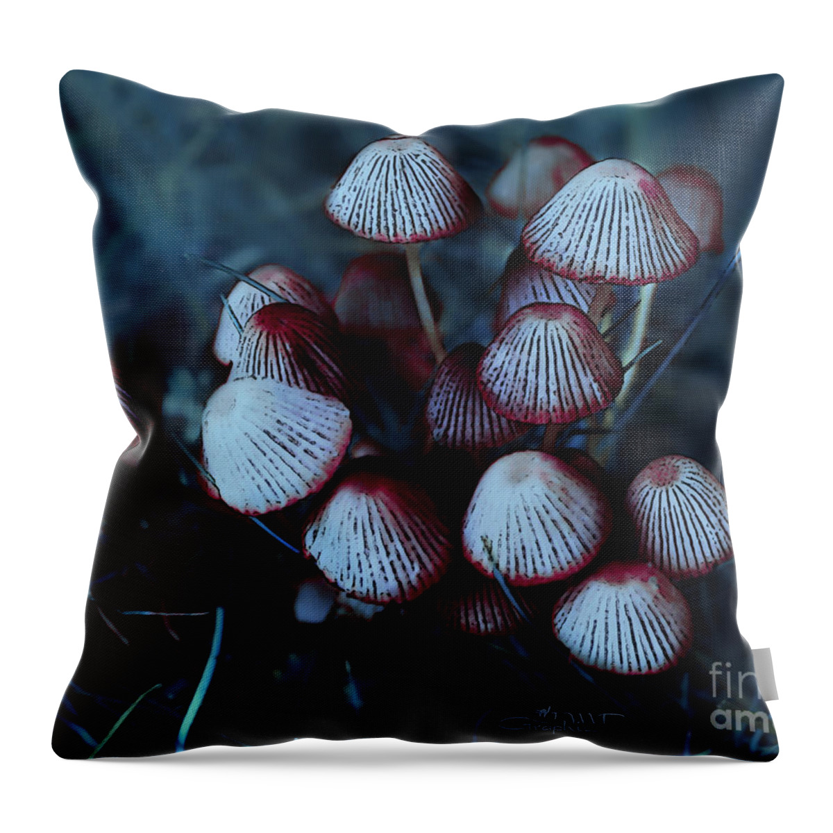 Mushroom Throw Pillow featuring the photograph Faerie Houses by Jutta Maria Pusl