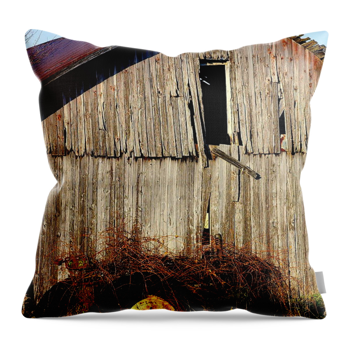 Barn Throw Pillow featuring the photograph Fail to Notice by Randy Pollard