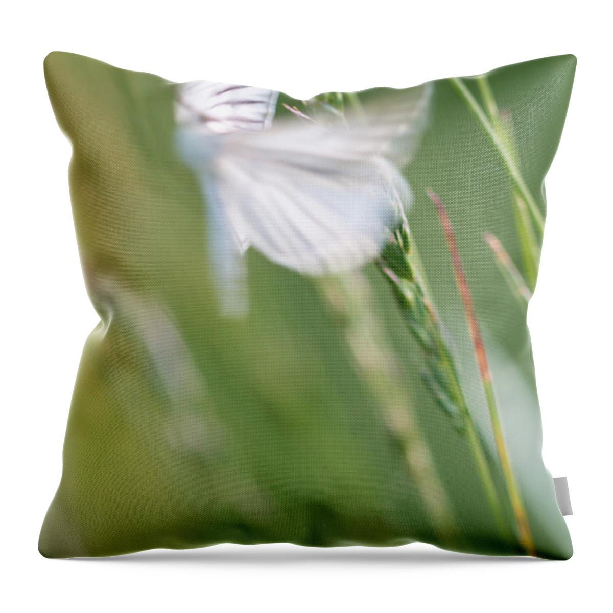 Butterfly Throw Pillow featuring the photograph Fairy Butterfly by Jivko Nakev
